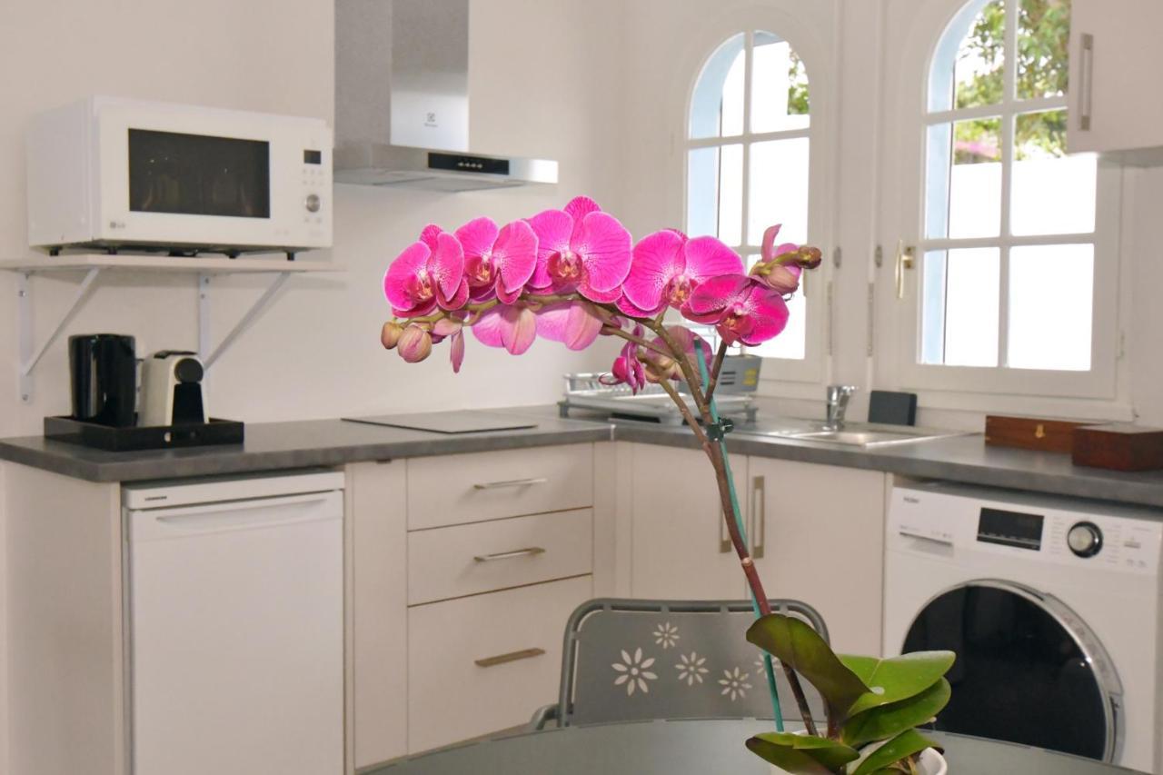 Le Jacaranda Du Guillaume Bed & Breakfast Le Guillaume Dış mekan fotoğraf